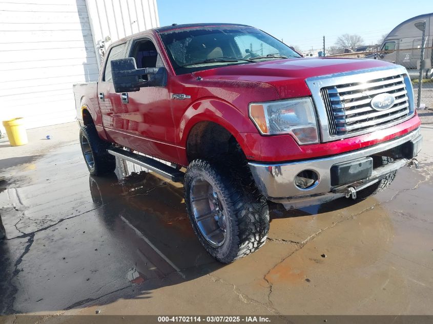 FORD F-150 XLT