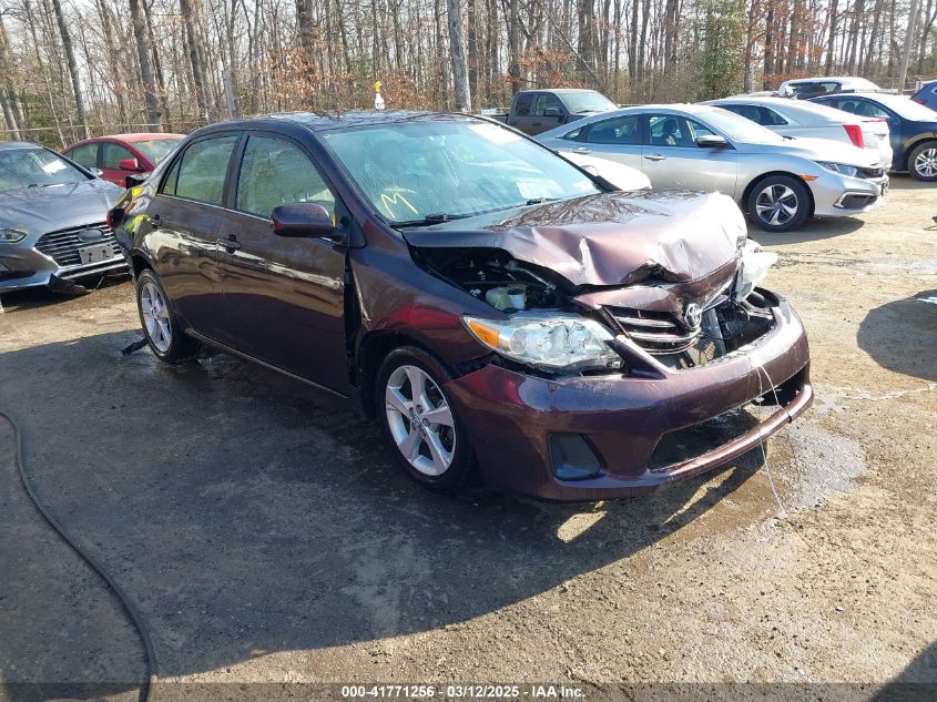 TOYOTA COROLLA LE SPECIAL EDITION