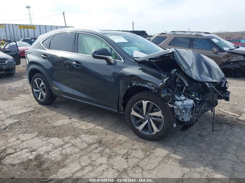 LEXUS NX 300H